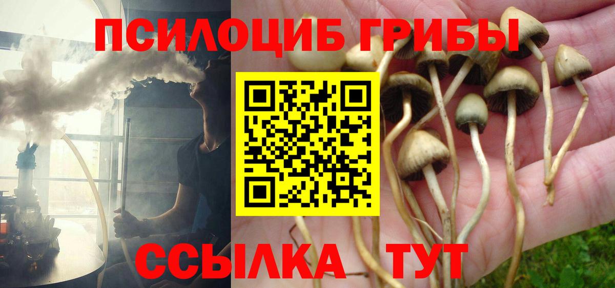 Туапсе  Галлюциногенные грибы Cubensis  Вход с VPN 