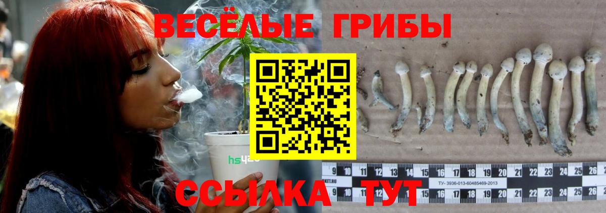 Галлюциногенные грибы Magic Shrooms Туапсе